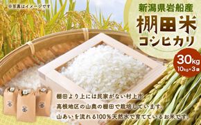 【令和7年産米】新潟県村上市 岩船産  棚田米 コシヒカリ 30kg（10kg×3）　D4016