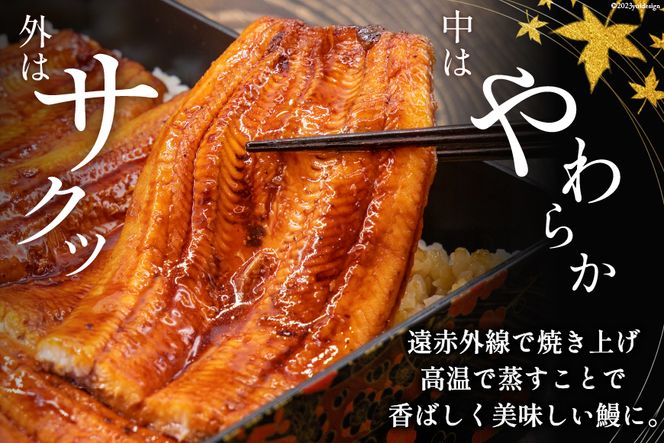 『定期便』国産うなぎ蒲焼・4尾セット 全12回 [マルニうなぎ加工 静岡県 吉田町 5024122]