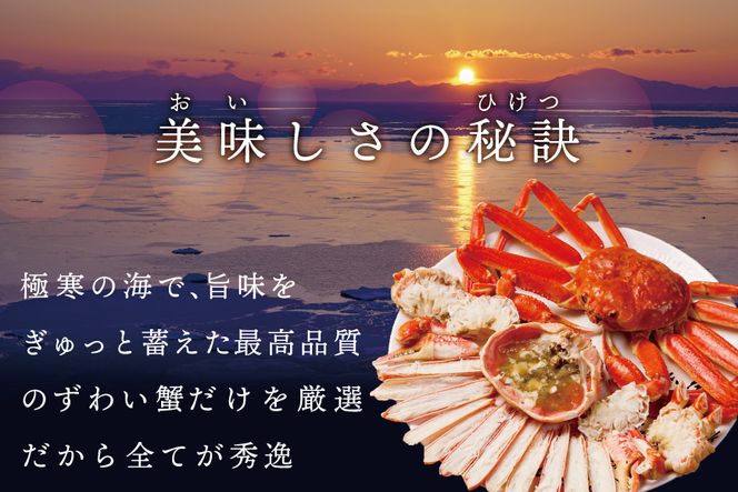 ランキング第3位獲得！訳ありズワイ蟹 2尾（計1.4kg）【SS000HZ01】