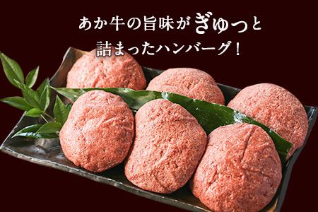 あか牛 ハンバーグ6個（180g×6個） 有限会社幸路《60日以内に出荷予定(土日祝を除く)》 あかうし 赤牛 冷凍---so_fhakakhumb_60d_16500_6p---