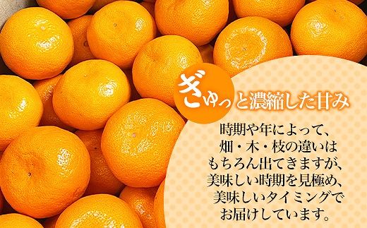 【産地直送】贈答用☆有田みかん☆サイズM☆10kg AL06