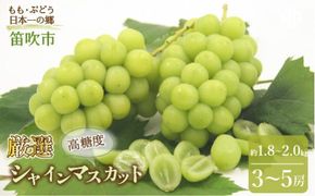 ＜25年発送先行予約＞ 笛吹市産　厳選! シャインマスカット 約1.8～2.0kg 3～5房 205-005