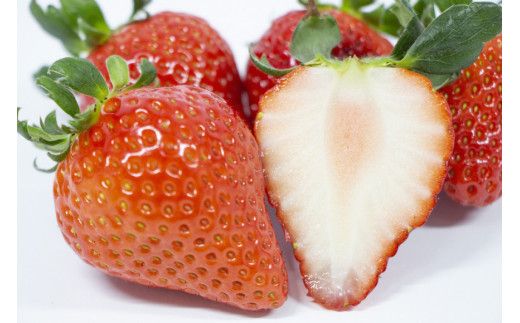 【期間限定発送】CG068 長崎県知事賞受賞【 大玉 いちご 】「 恋みのり (3L～5L)」265g×4パック ＜12月までにお届け＞