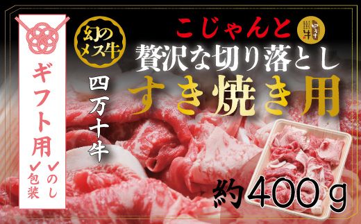 yml\szyMtgpiÊΉjzR5-529GD̃X@l\ґȐ؂藎ƂiėpE400j