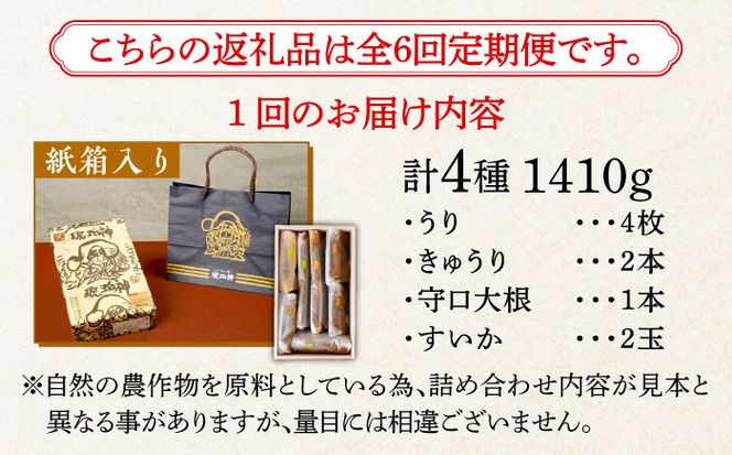 【全6回定期便】【明治神宮ご奉献品】奈良漬 「琥珀漬」 木箱入り 1410g《築上町》奈良漬 奈良漬け【有限会社奈良漬さろん安部】 ギフト 贈り物 贈答[ABAE053]