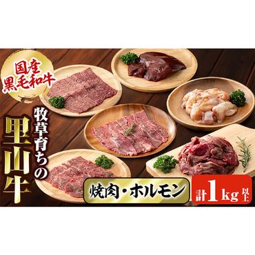 国産黒毛和牛 牧草育ちの里山牛 焼肉・ホルモンセット 計1kg以上 b8-031