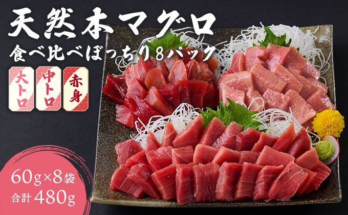 天然本まぐろ 大トロ 中トロ 赤身 [ 食べ比べ ][ぼっちりパック] 合計480g(60g×8パック ) 天然まぐろ 本マグロ まぐろ マグロ 鮪 大とろ 中とろ 切り落とし 刺身 魚介類 海鮮 魚 海産物 魚貝 高知県 小分け 大とろ 簡単 調理 惣菜 訳あり 不揃い 冷凍 送料無料 室戸 mgr