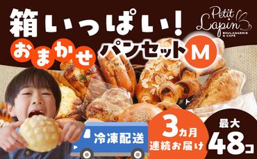 【3回定期便】 Petit Lapin 箱いっぱいのおまかせパンセット M 【Petit Lapin】菓子パン 惣菜パン 食事パン【配達不可：離島】[AEBI003]