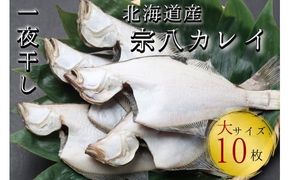 【リピーター続出！】北海道産 宗八かれい 大サイズ10枚(約2kg) カレイ 一夜干し 漁師直送 干物 煮付け 塩焼き 唐揚げ 海鮮 せたな町 ふるさと納税