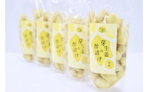芽生姜の甘酢漬け　5パック