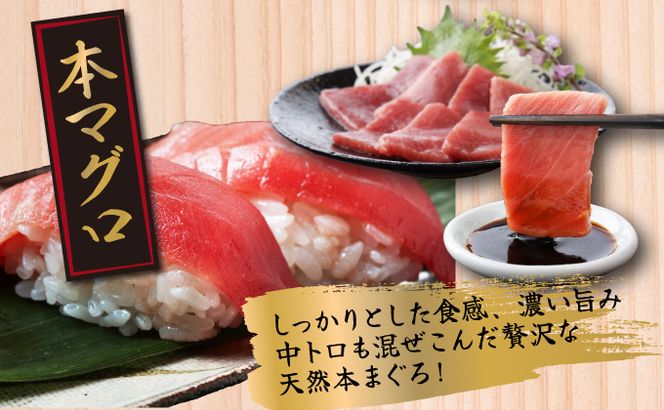 【３回定期便】３種のまぐろお手軽グルメセット ６００ｇ ３か月連続 本マグロ ビンチョウマグロ メバチマグロ スライス 切り落とし 切落し 天然 鮪 刺身 刺し身 食べ比べ 魚 さかな 高知 室戸 冷凍 小分け 便利 室戸 all tk027