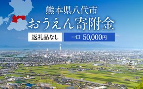 八代市 への寄付（返礼品はありません）応援 寄付 5万円