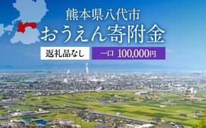 八代市 への寄付（返礼品はありません）応援 寄付 10万円