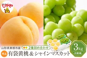 【2026年】東根市産 有袋黄桃（品種おまかせ）＆シャインマスカット 詰め合わせ 3kg 秀品 化粧箱入り 山形県 東根市 hi027-239