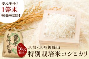 2024年産 京都・京丹後峰山 特別栽培米コシヒカリ 5kg 【白米】 1等米 検査済証付　MF00033