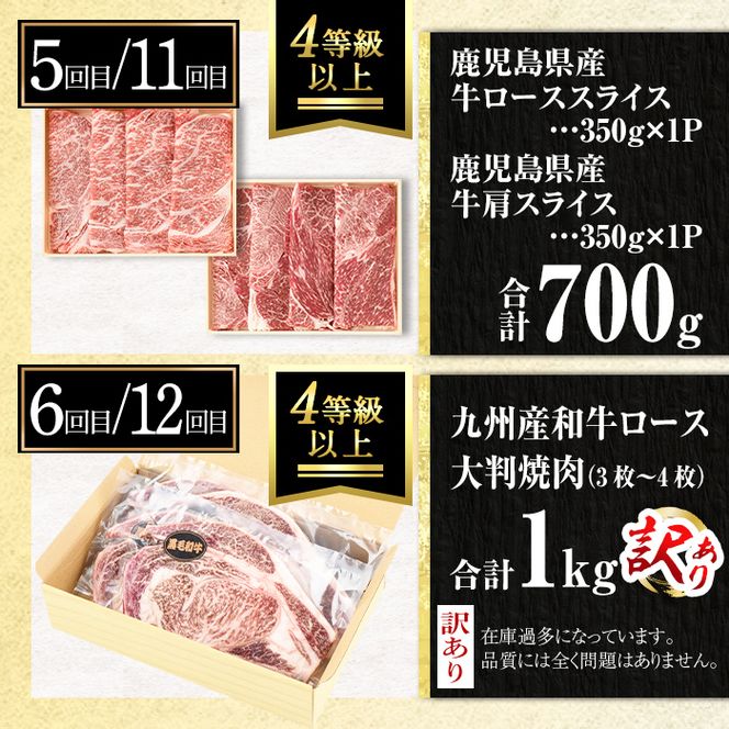 isa585 【定期便12回】満足贅沢 牛肉定期便(合計9.3kg超) 肉 牛肉 霜降り すきやき しゃぶしゃぶ 牛しゃぶ サーロイン リブロース ステーキ 冷凍 ロース カタロース 肩ロース BBQ アウトドア【サンキョーミート株式会社】