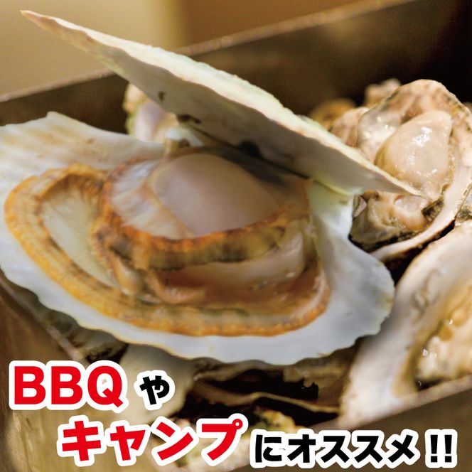 牡蠣 ホタテ カンカン 焼き かき 8個 ほたて 4枚 カキ 貝柱 殻付牡蠣 冷凍 三陸 赤崎産牡蠣 加熱用牡蠣 魚貝類 加工食品 殻付き牡蠣 大船渡市 岩手県 キャンプ アウトドア 焼くだけ牡蠣 簡単調理 新生活準備 ホームパーティー [kama024]