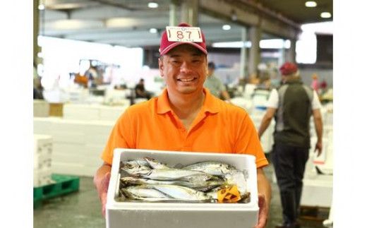 109-1333　高級魚を食卓に。小田原で穫れる人気の2種類 まさに”いいとこどり”したセットに。小田原海鮮漬　いいとこどりセット(西京漬・粕漬　2種各2枚入)