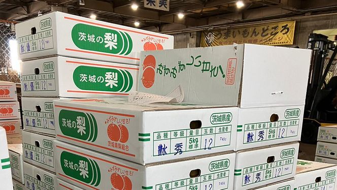 【 2025年8月下旬発送開始 】 茨城県産 梨 豊水 （約 5kg ） 10～16玉  梨 なし 和梨 日本梨 果物 フルーツ 新鮮 旬 期間限定 国産 先行予約[CL002us]