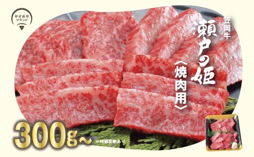 A-09 瀬戸の姫（焼肉用）