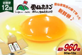 BI036 12回 定期便 雲仙たまごLサイズ  80個 (10個入り×8パック)(75個＋割れ補償5個入り) [ 卵 たまご 生卵 鶏卵 赤卵 玉子 新鮮 塚ちゃん雲仙たまご村 長崎県 島原市 ]