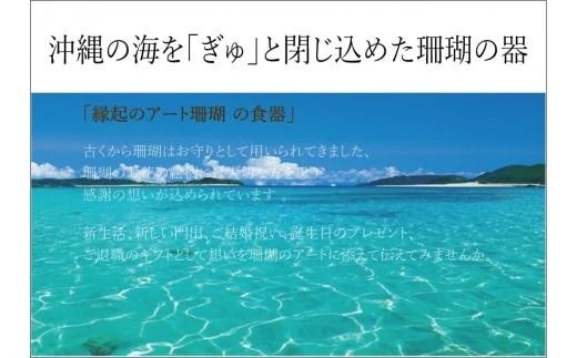 珊瑚シリーズ フリーカップ【スカイブルー】