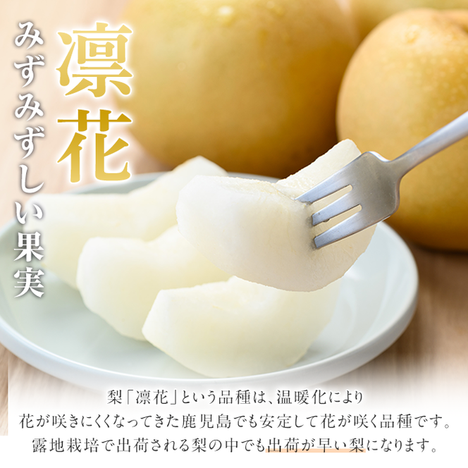 ＜先行予約受付中！2026年7月下旬以降順次発送予定＞数量限定！鹿児島県産梨＜品種：凛夏＞(約5kg・10～20個前後)国産 果物 くだもの フルーツ 旬 果実 ナシ なし デザート 露地栽培 りんか 凛夏 期間限定【三笠農業生産】akn051-08