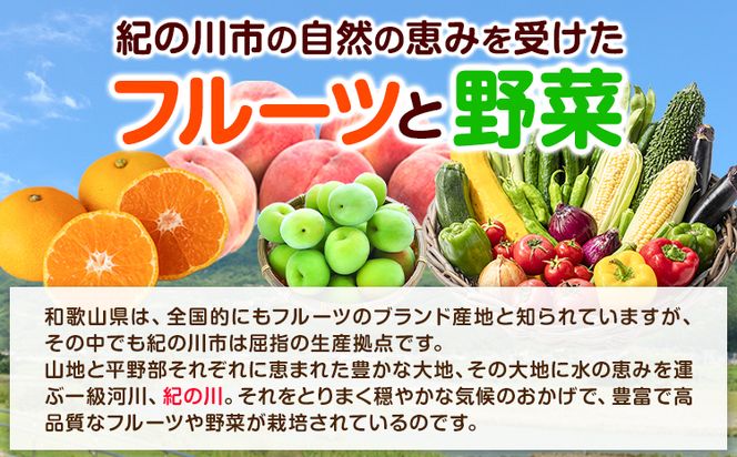 【3ヶ月定期便】紀の川市の恵み 旬のフルーツ＆野菜セット 計8~10品《お申込み月翌月から出荷開始》和歌山県 紀の川市 フルーツ 果物 野菜 セット 桃 梅 みかん 新玉ねぎ なす トマト キャベツ---wfn_cvgs1tei_23_30000_mo3num1---