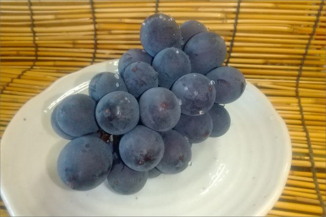 巨峰種「紫玉搾り」果汁100％ ぶどうジュース 2本入り　国産 ぶどう ブドウ 葡萄 じゅーす 飲料 子供 フルーツ ふるーつ 果物 くだもの FA00005