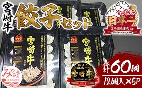 宮崎牛餃子セット　12個入り/5パックセット　合計60個_M165-001