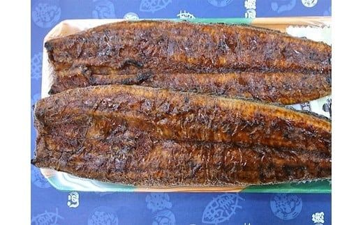 yÉĒÎsza20-231@YȂĂ2(190g`210g)