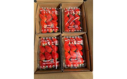 【数量限定】【3月〜4月発送】 産地直送! めぐりーんの完熟いちご（章姫） 4パック F4N-0105