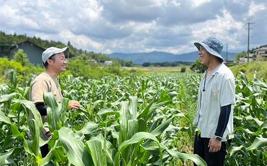 ＜奇数月6回定期便＞濃い味！朝採れ旬の野菜セット【12品目】 F4N-1623