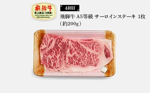 飛騨牛 A5等級 満喫 定期便 全4回 食べ比べ 200g F4N-1694