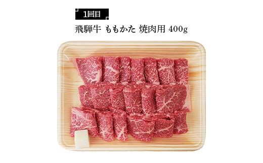 飛騨牛 満喫 定期便 全4回 食べ比べ 300g～400g F4N-1695