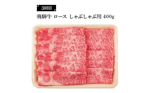 飛騨牛 満喫 定期便 全4回 食べ比べ 300g～400g F4N-1695