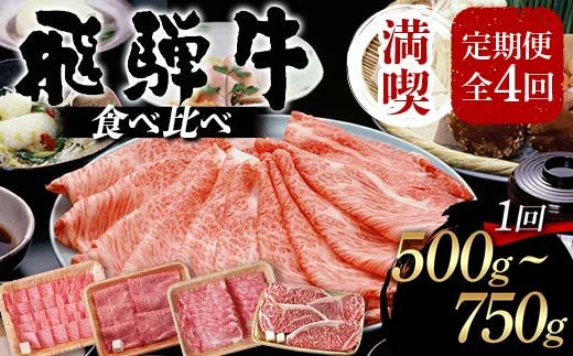 飛騨牛 満喫 定期便 全4回 食べ比べ 500g～750g F4N-1696