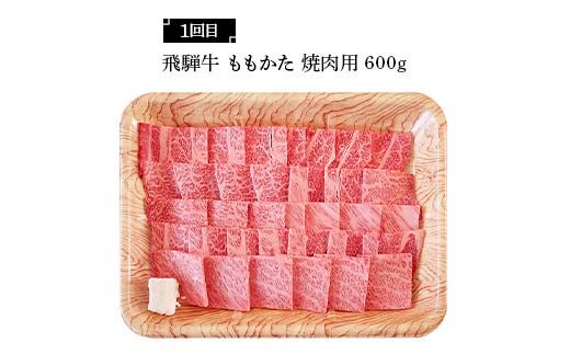 飛騨牛 満喫 定期便 全4回 食べ比べ 500g～750g F4N-1696