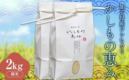 y򕌌ÐszqYRVqJǔb݁v1kg×2 ȂIԓ{ꂨăReXgܕ   RVqJ F4N-1798