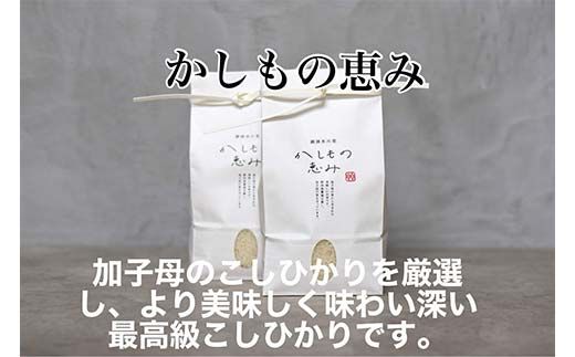 加子母産コシヒカリ「かしもの恵み」1kg×3 あなたが選ぶ日本一おいしい米コンテスト受賞米 米 精米 コシヒカリ F4N-1799