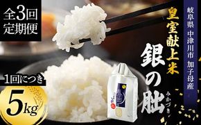 ＜テレビで紹介されました！＞令和7年度 新米【全3回定期便】皇室献上米『銀の朏』5kg 中津川市加子母産 栽培期間中化学肥料不使用 お米 新米 精米 F4N-1869