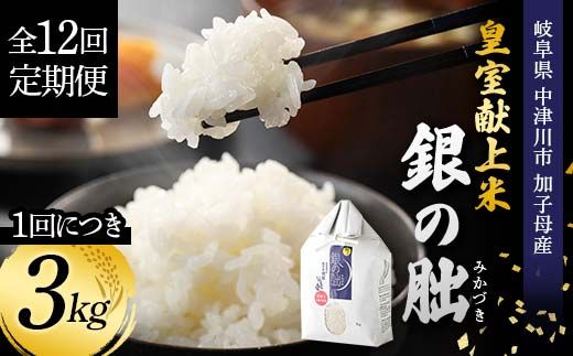 ＜テレビで紹介されました！＞令和7年度　新米【全12回定期便】皇室献上米『銀の朏』3kg 中津川市加子母産 栽培期間中化学肥料不使用 お米 新米 精米 F4N-1878