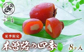 御菓子所 川上屋 (夏季限定) 木曽路の四季 F4N-1910