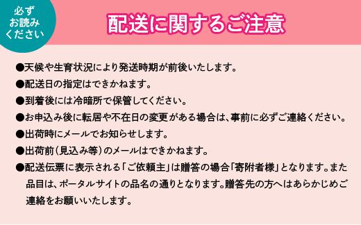 ＜25年発送先行予約＞山梨県笛吹市産　シャインマスカット2房～3房　１kg以上 223-007