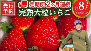 【 2ヶ月 定期便 】完熟 いちご 4パック ( 大粒 ) 先行予約 大粒 イチゴ 苺 フルーツ 果物 かおり野 とちおとめ やよいひめ [AF100ci]