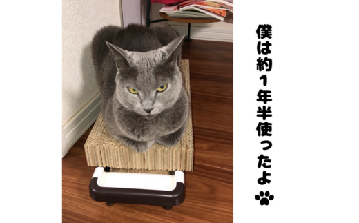 【長持ちする猫の爪とぎ】ズットモーツ　5個セット MROJ003