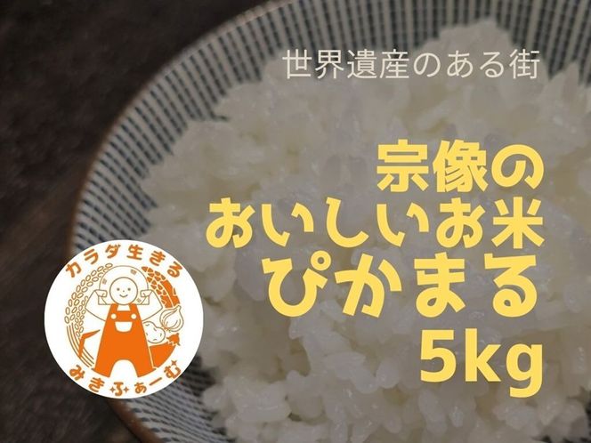 むなかた産 米 ぴかまる 5kg【みきふぁーむ】_HA1543