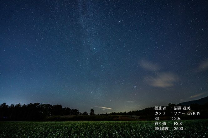 カメラ レンズ 家電 SIGMA 14-24mm F2.8 DG DN | Art【ソニーEマウント用】（福島県磐梯町） |  ふるさと納税サイト「ふるさとプレミアム」