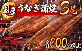 うなぎ蒲焼 3尾セット（合計600g以上） F-124