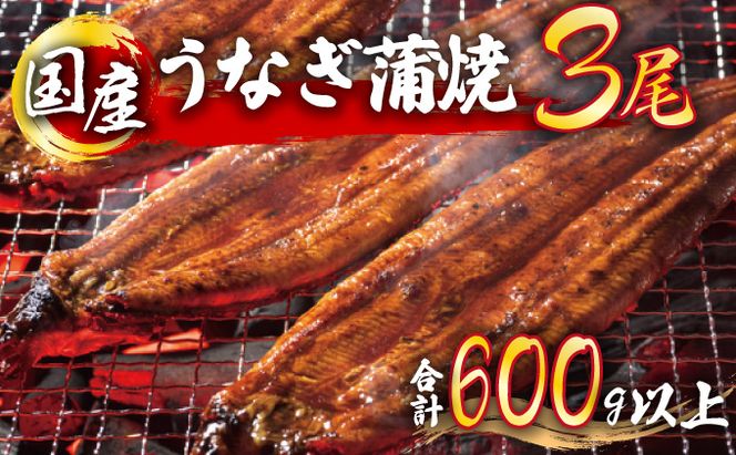 うなぎ蒲焼 3尾セット（合計600g以上） F-124